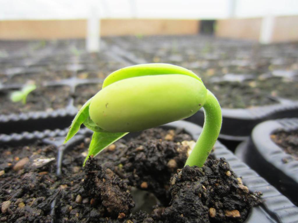Food Sovereignty – Clervaux Seasons