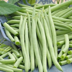 Beans Climbing French Clervaux 300g