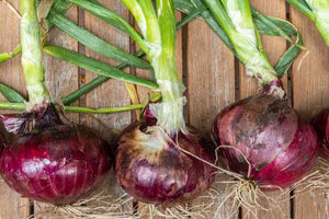 Onions Red Fresh Clervaux 500g