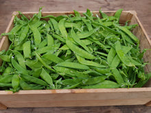 Load image into Gallery viewer, Mangetout Sugar Dwarf 150g
