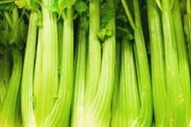 Celery