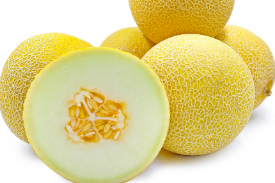 Melon Galia