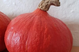 Squash Orange Hokkaido Clervaux